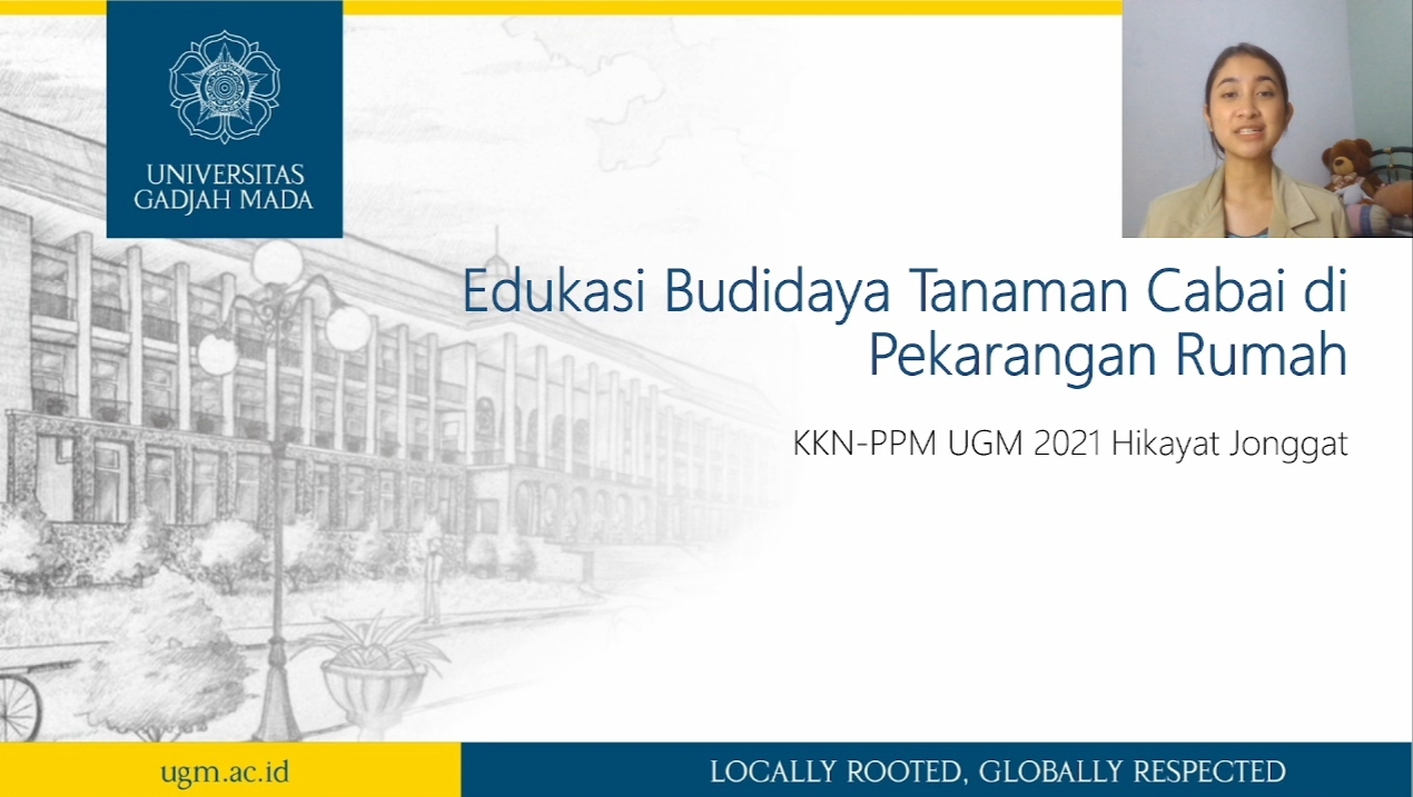 Edukasi Budidaya Tanaman Cabai di Pekarangan Rumah